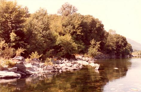 Photo  prise du milieu du fleuve.