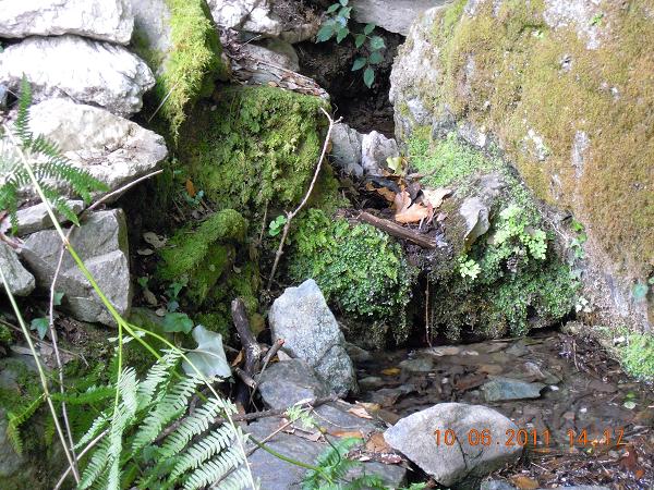 La source des  Petre Bianche ( Pierres Blanches ).