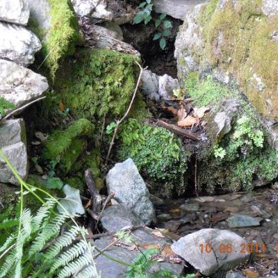 La source des  Petre Bianche ( Pierres Blanches ).