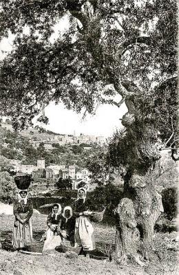 Corse santa reparata di balagna